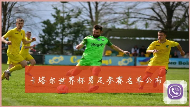 卡塔尔世界杯男足参赛名单公布