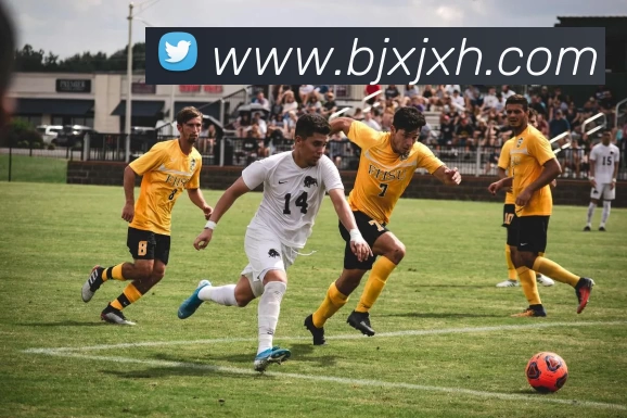 必一·运动(B - Sports)技术有限公司官网服务体系